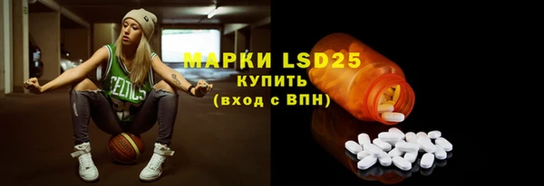 индика Алзамай