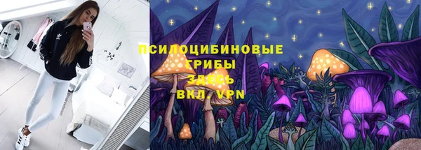 СК Абаза