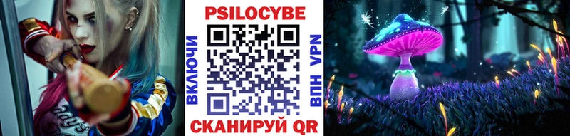 где найти   Межгорье  ссылка на мегу рабочий сайт  Псилоцибиновые грибы мицелий 