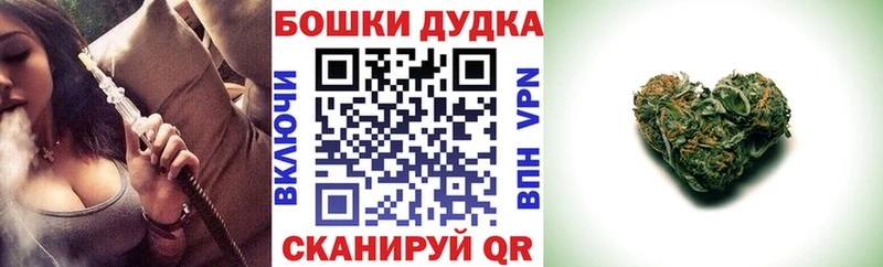Канабис OG Kush  Межгорье 